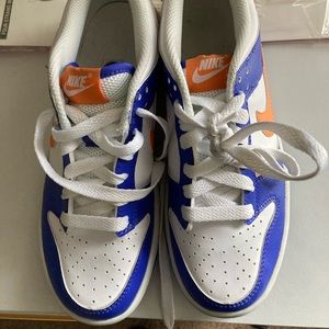 Nike Dunks Low